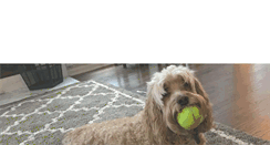 Desktop Screenshot of petsitgirls.com